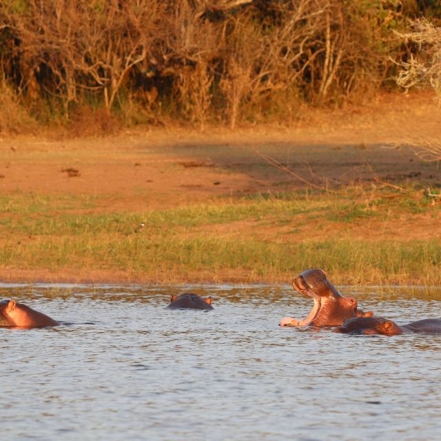 Safari in Uganda with wildlife sightings